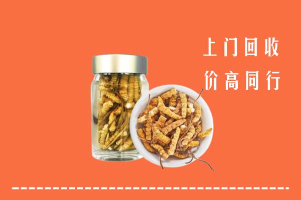 衡阳回收冬虫夏草
